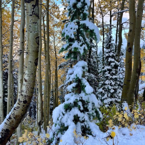 October snow at Deer Valley. Photo: BEC Nic