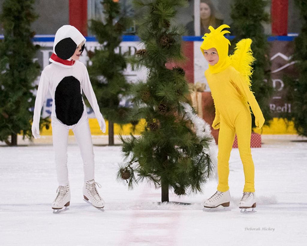 Past Holiday Extravaganza at the Park City Ice Arena and Cosmic Skate for the public.