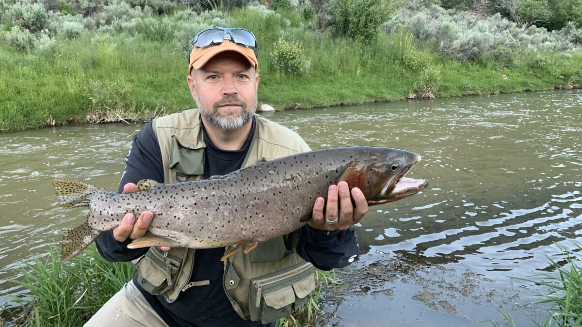 Clint Thurgood new catch-and-release Bonneville Cutthroat Trout.