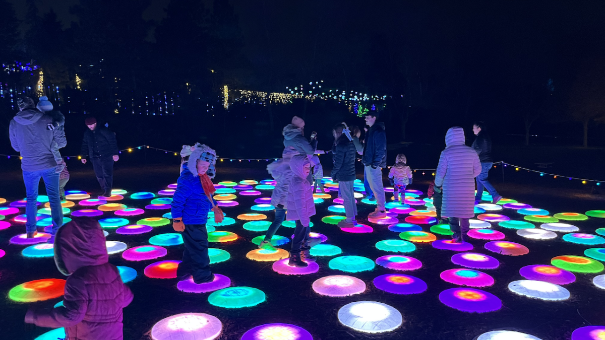 Visitors hopping from lily pad to lily pad as the lights change color.