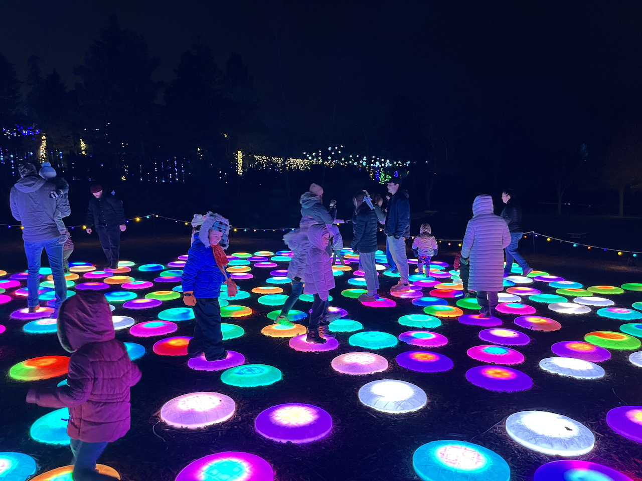 Visitors hopping from lily pad to lily pad as the lights change color.