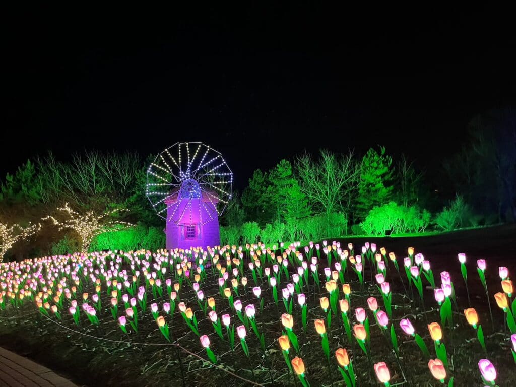 SNAPPED 3 nights left to experience Thanksgiving Point's Luminaria