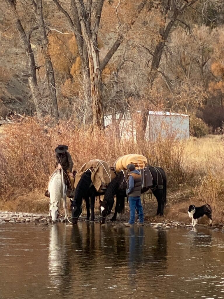 Heber City native continues his 'Year of the Mustang' - TownLift, Park ...