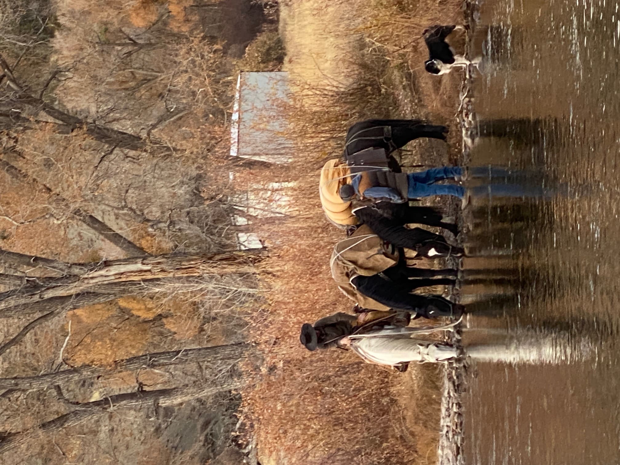 Heber City native continues his 'Year of the Mustang' - TownLift, Park ...