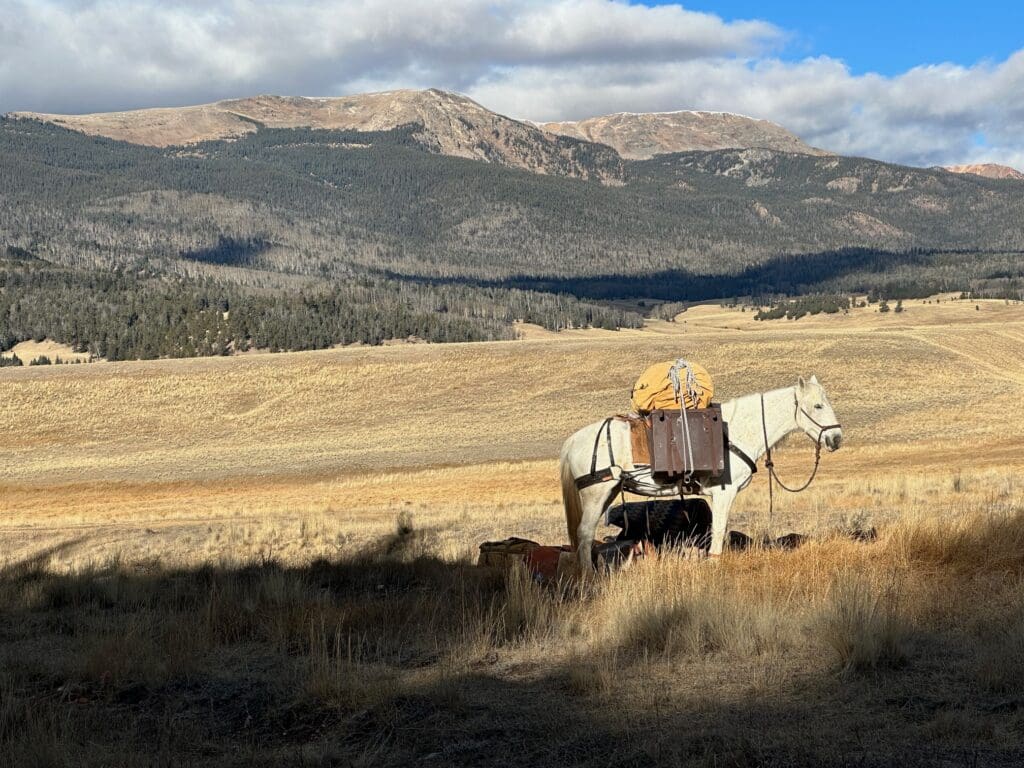 Heber City native continues his 'Year of the Mustang' - TownLift, Park ...