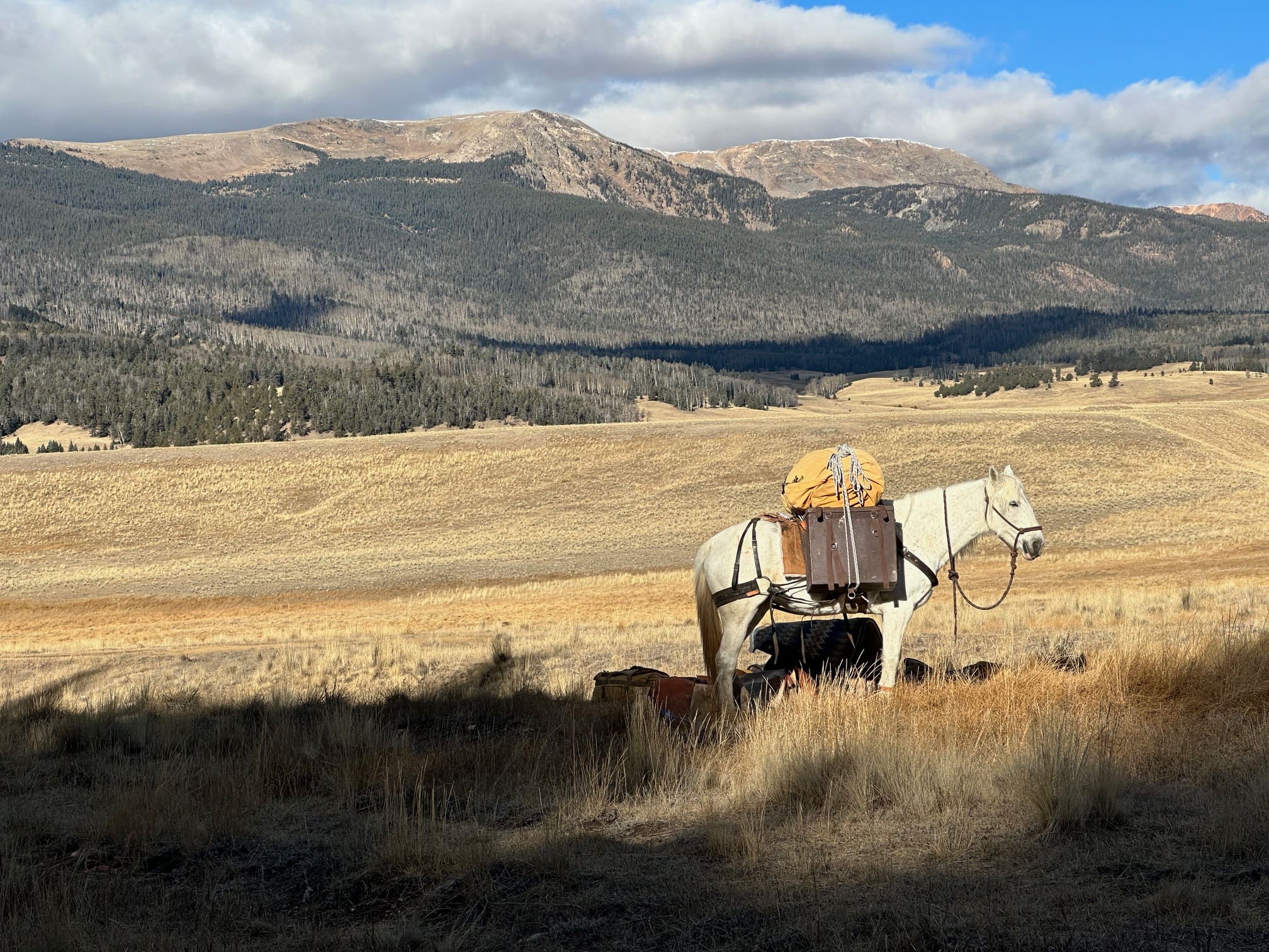Heber City native continues his 'Year of the Mustang' - TownLift, Park ...