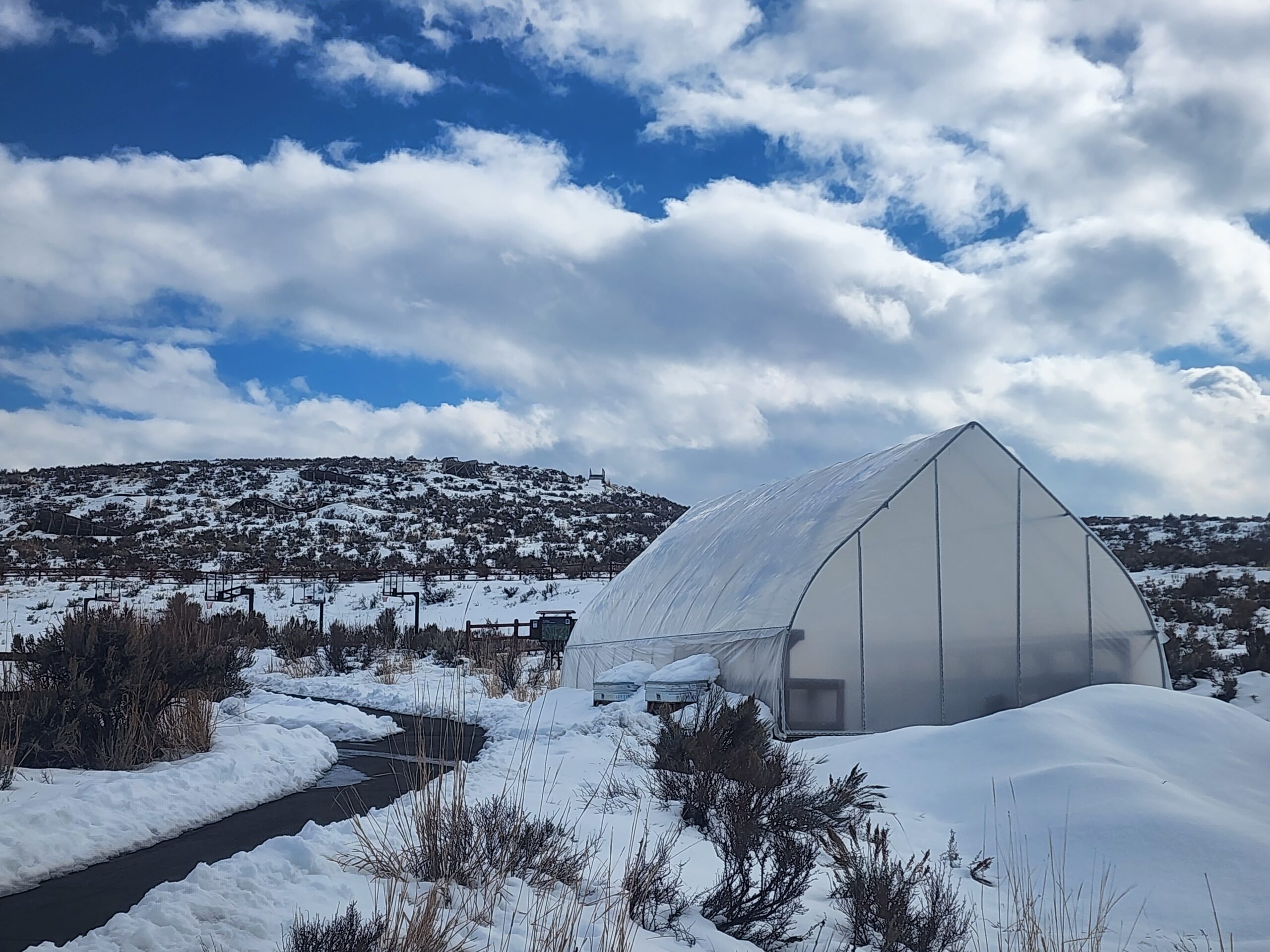 Greenhouse at Trailside Park.