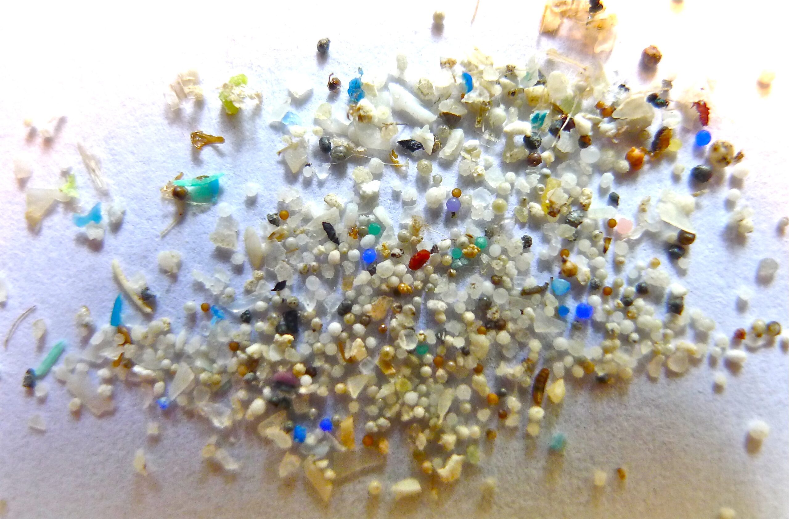 Microplastic.