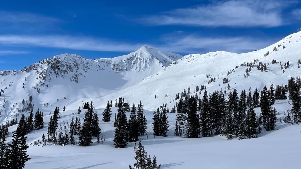 Alta Ski Resort has hit its 500" mark for the 23-24 winter season.