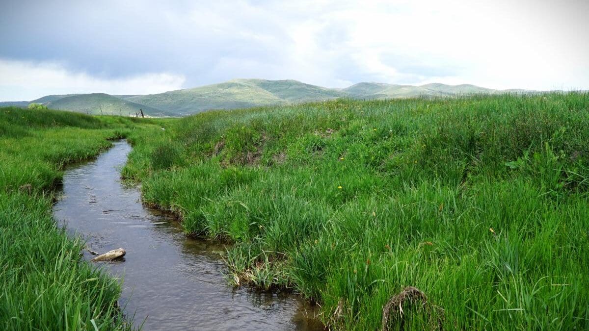 A conservation easement will permanently protect the scenic viewshed, natural habitat for wildlife, and water quality in the Kamas Valley Meadows.