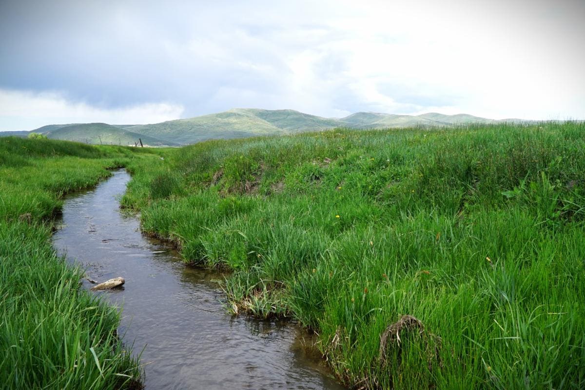 A conservation easement will permanently protect the scenic viewshed, natural habitat for wildlife, and water quality in the Kamas Valley Meadows.