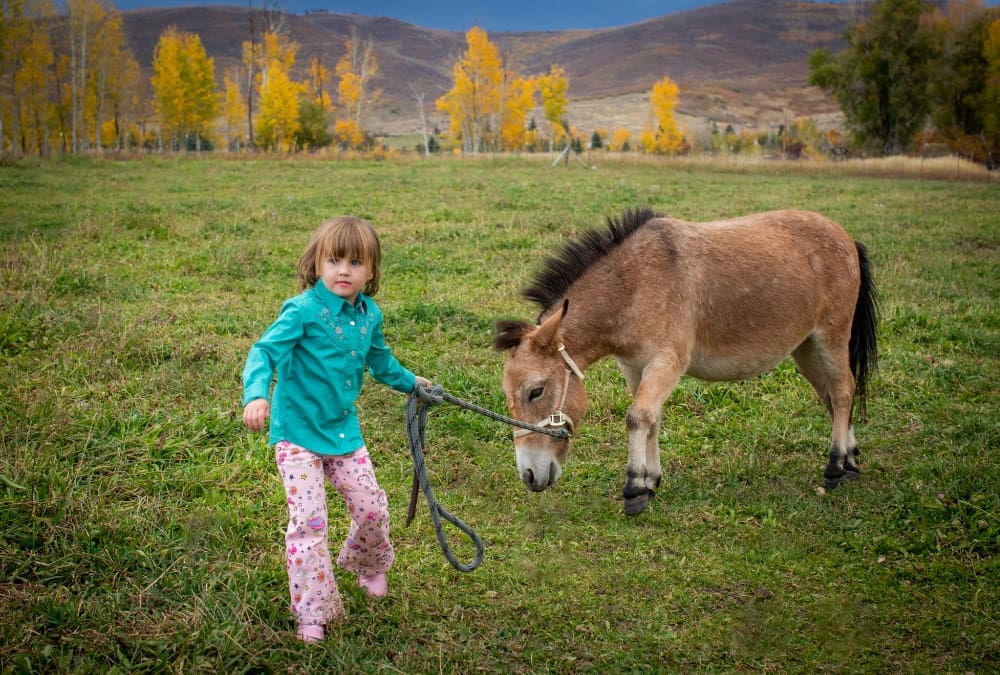 Brown's five-year-old daughter has her own responsibilities at Rescue Ranchito taking care of the mules.