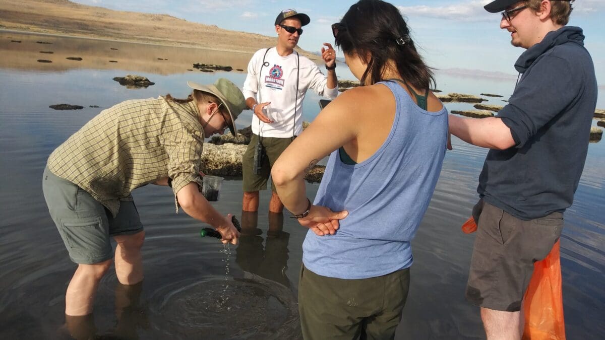 A team of researchers from the University of Utah collects samples from a survey site on the Great Salt Lake where nematodes, also known as roundworms, were found.