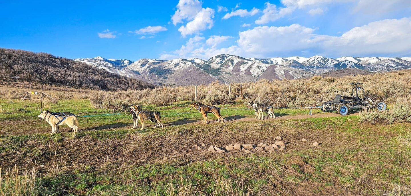 Ranch Luna Lobos' Spring Cart Rides in Park City.