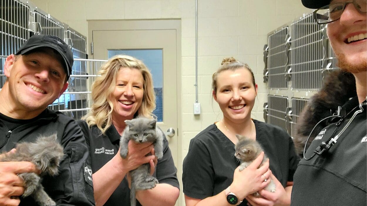 Summit County Animal Control staff.