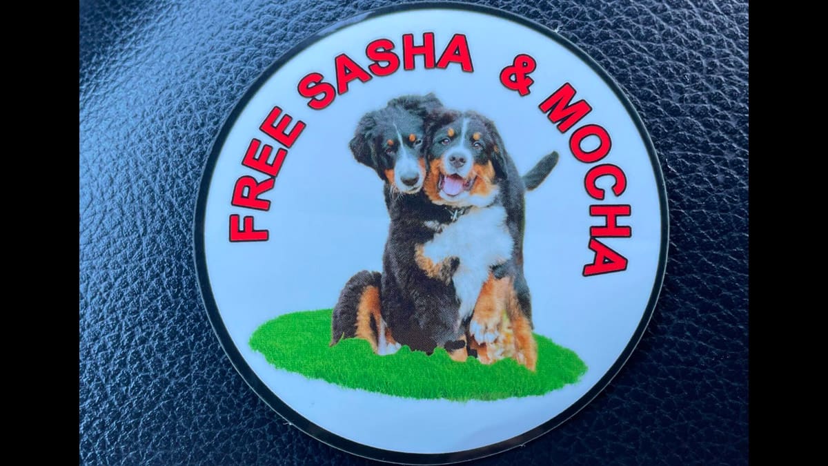 Free Sasha & Mocha sticker