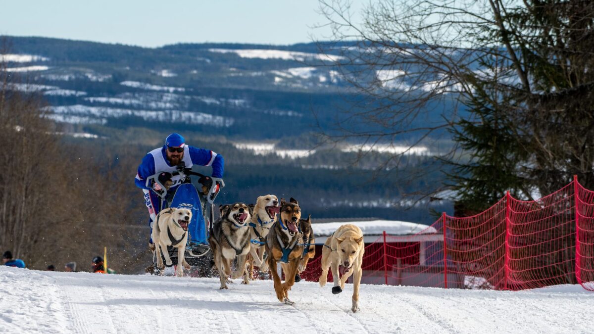 Rancho Luna Lobos' dogsled race team will represent the USA in next winter's World Championships in Norway.