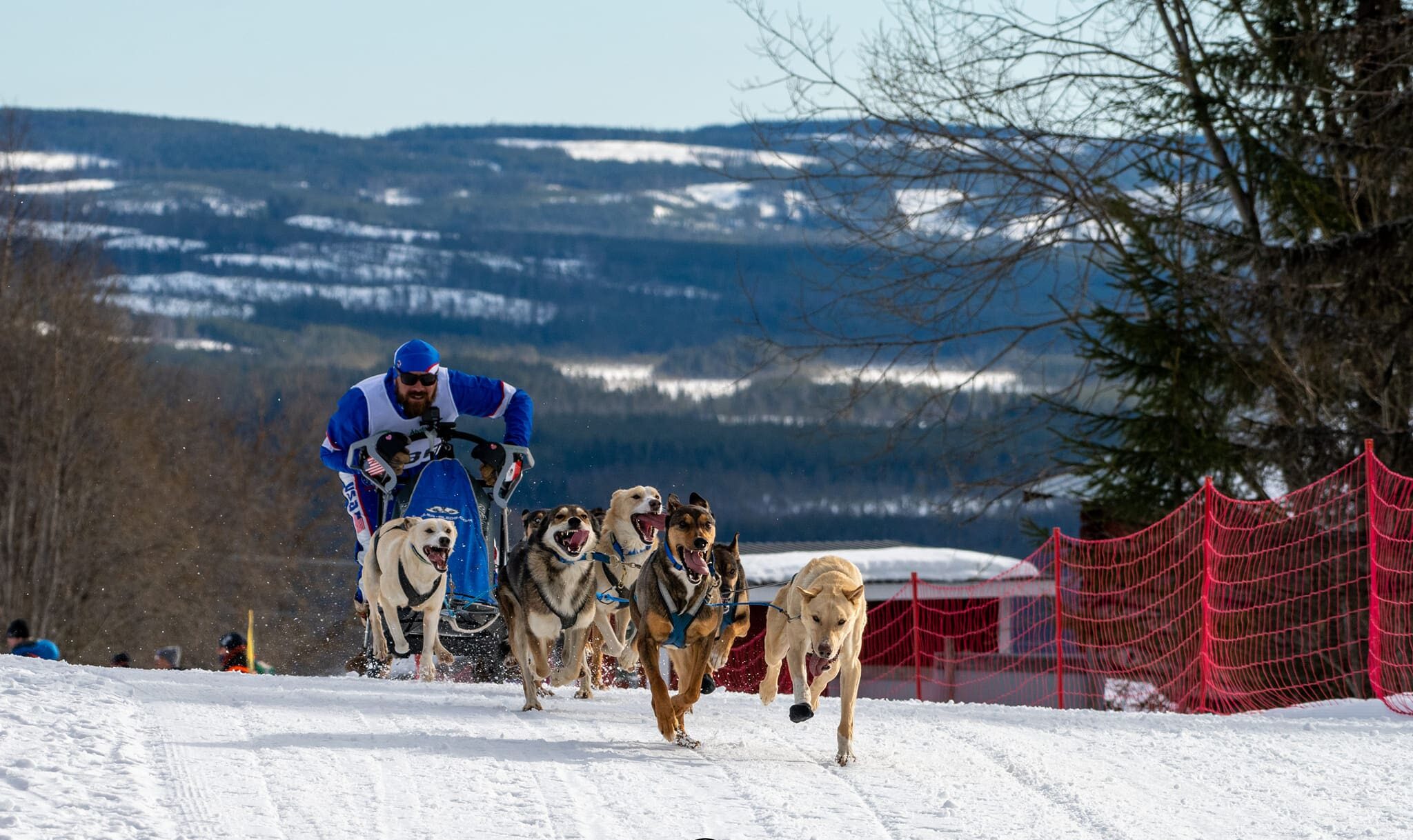 Rancho Luna Lobos' dogsled race team will represent the USA in next winter's World Championships in Norway.