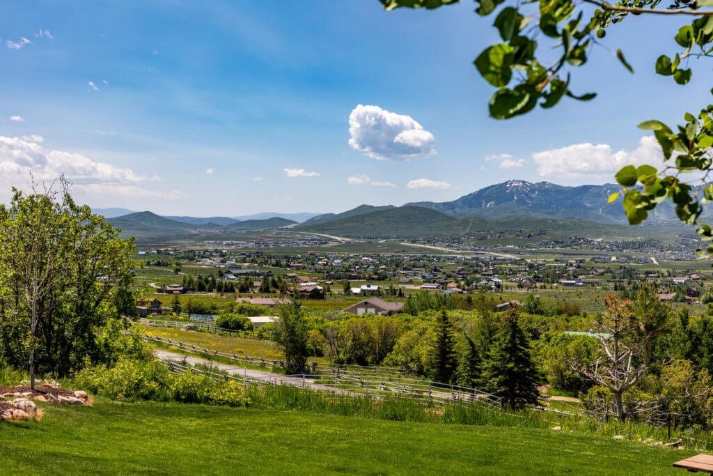 Aspen Lane views from backyard.