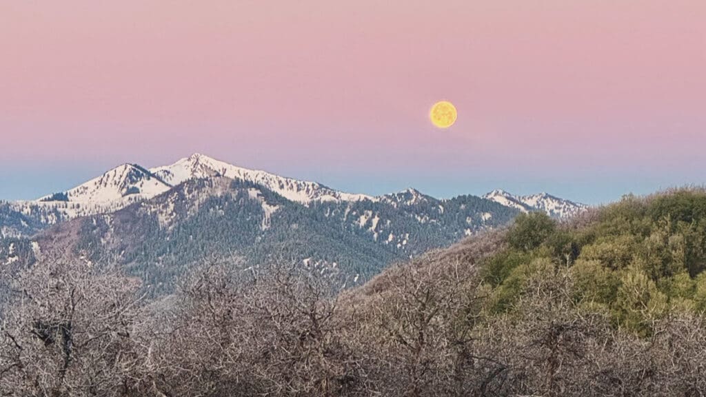 SNAPPED Flower Moon shines over Park City TownLift, Park City News