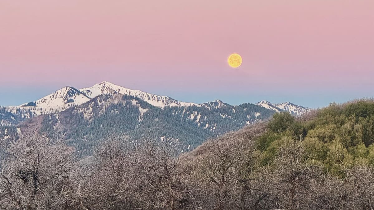 The Flower Moon shines over Park City Friday morning.