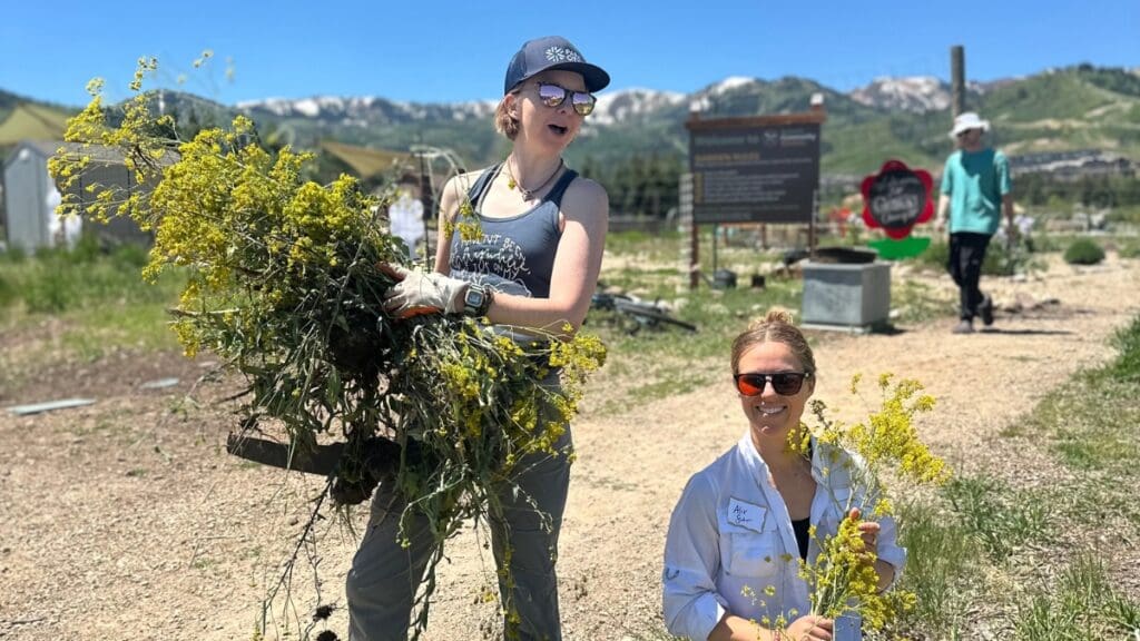 Community Giveback Day with the Chamber and Summit Land Conservancy at Miss Billie's property. 