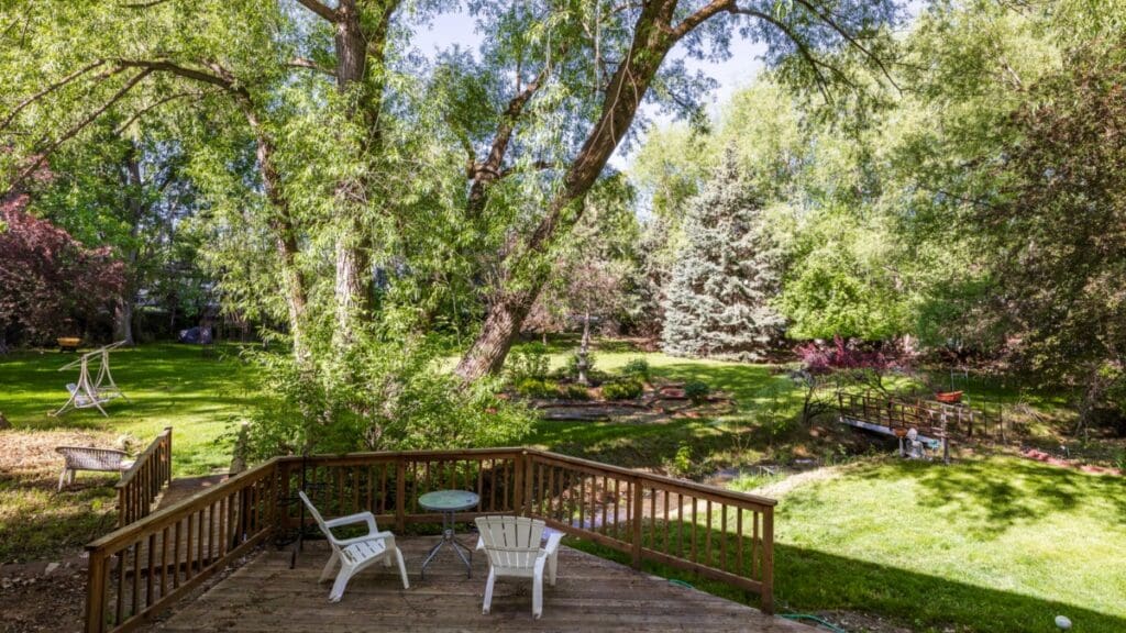 Backyard Deck and Yard