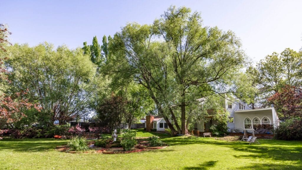 Backyard with view of house.