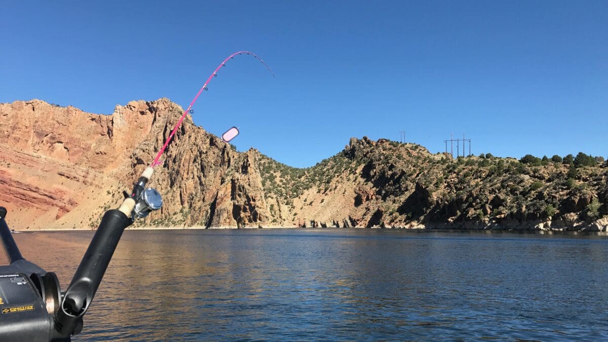 Fishing at the Flaming Gorge Reservoir.