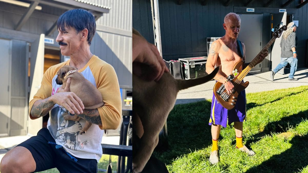 Anthony Kiedis and Flea of the Red Hot Chili Peppers cuddling with rescue puppies from Nuzzles & Co. before their performance in West Valley City, Utah.