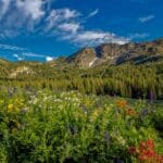 Alta Ski Area in Little Cottonwood Canyon.