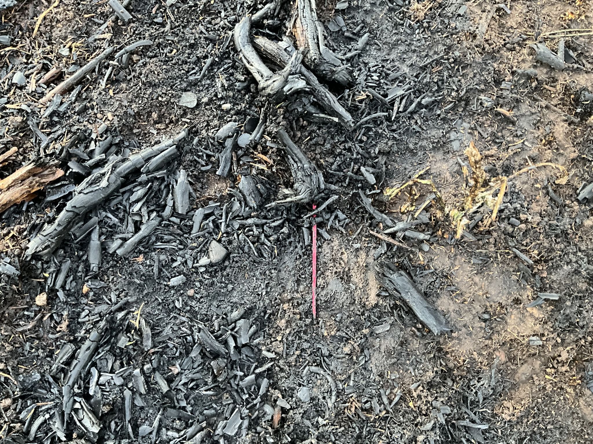 Small brush fire that started with a bottle Rocket in Lewis Canyon