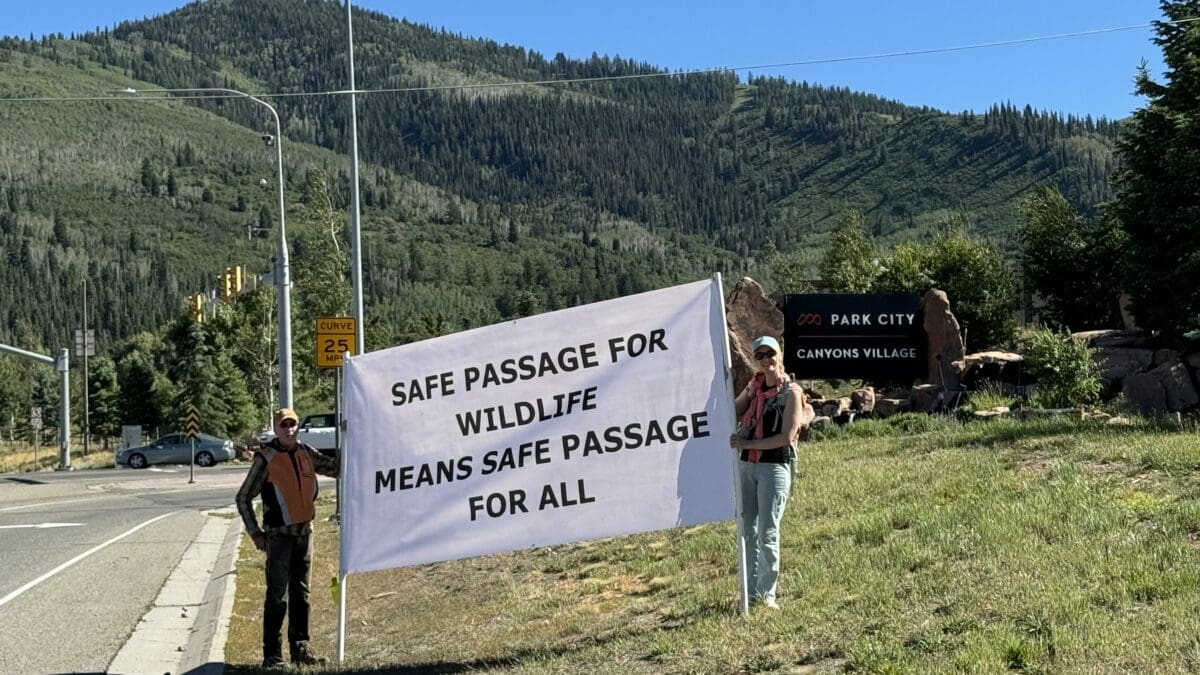 Community members supporting a 224 wildlife crossing on July 3, 2024. It reads, "Safe passage for wildlife means safe passage for all."