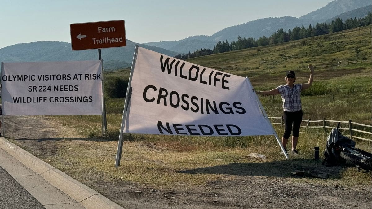 On July 24, 2024, Save People Save Wildife supporters held up banners calling for wildlife crossings on 224.