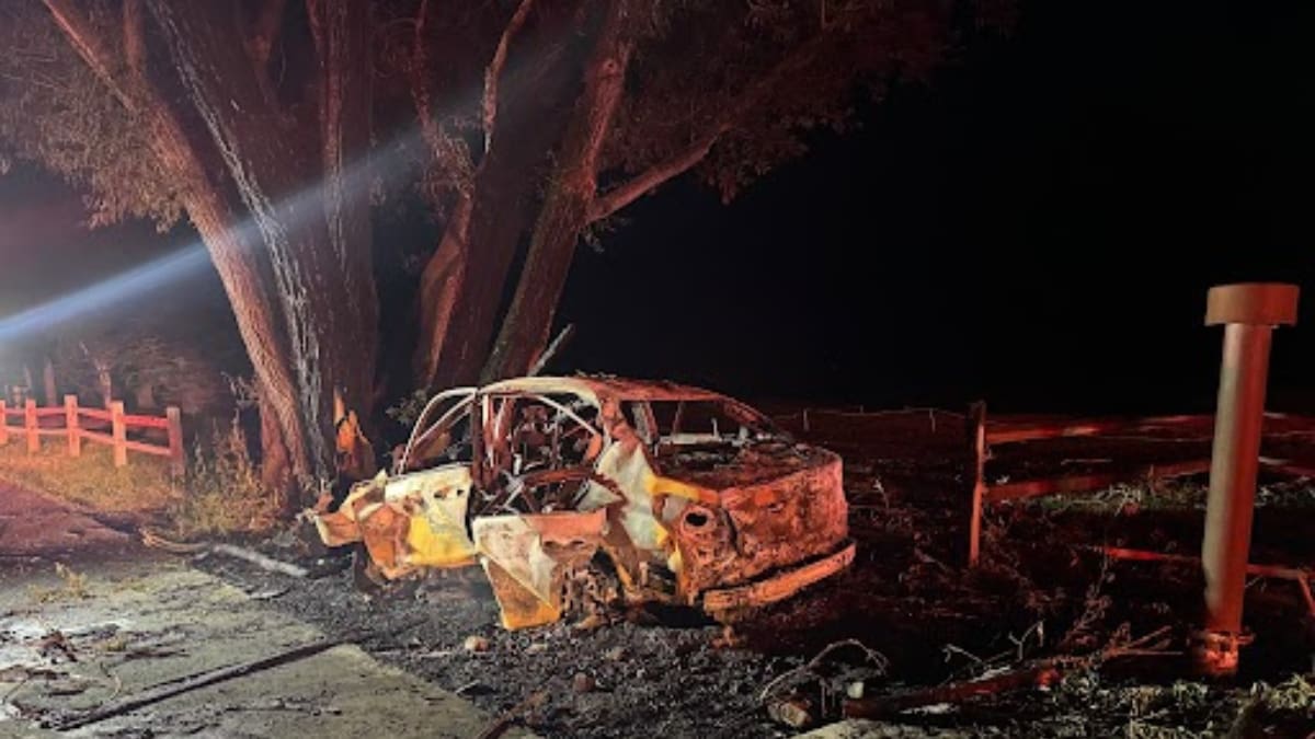 The black 2019 Subaru WRX was engulfed in flames after crashing into a tree early Thursday morning.