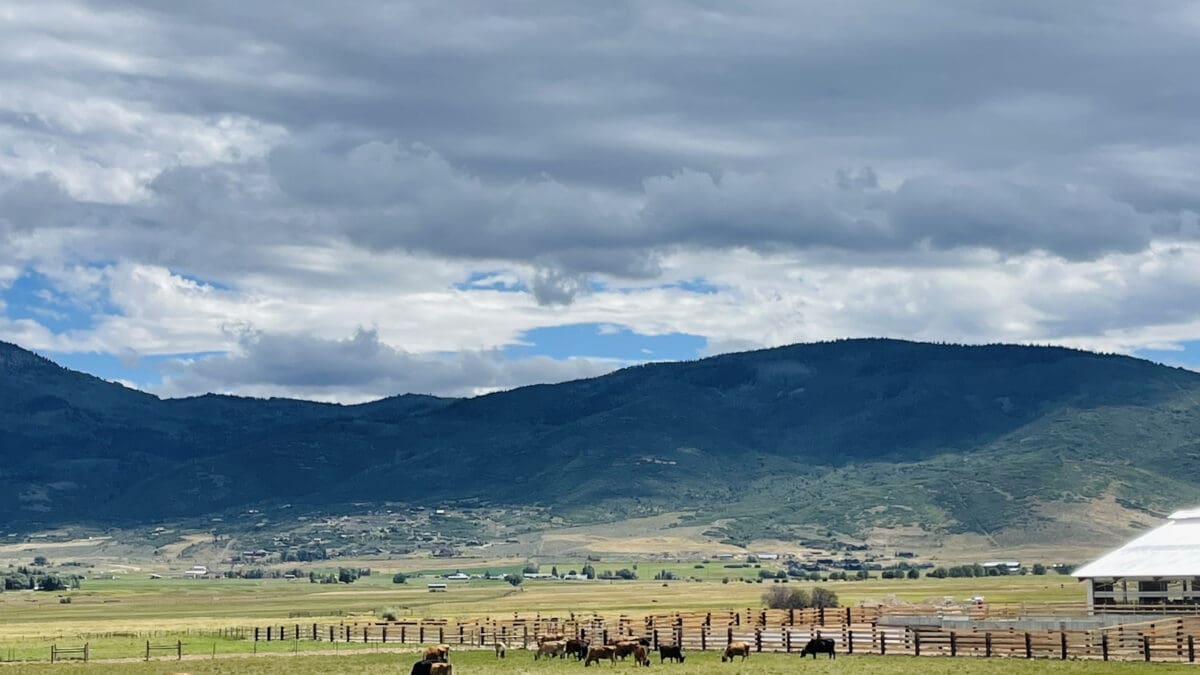 The Ballerina Farm in Kamas photographed on August 23, 2024. The Kamas City Council approved its annexation on August 27, 2024.