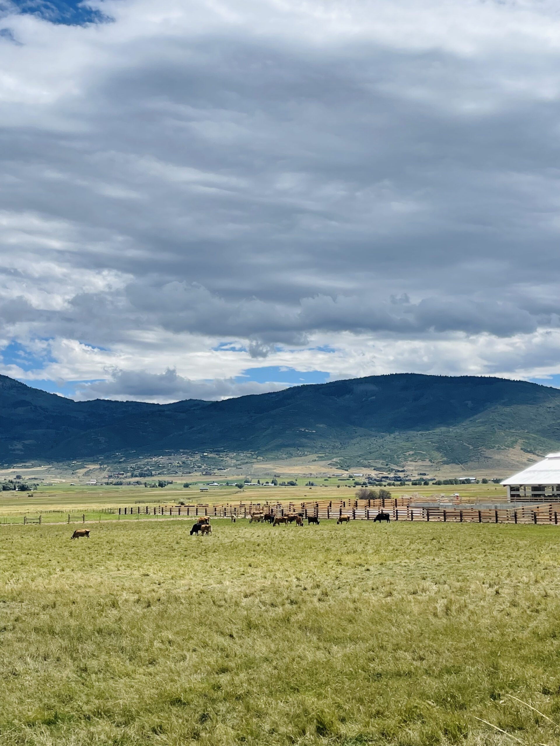 The Ballerina Farm in Kamas photographed on August 23, 2024. The Kamas City Council approved its annexation on August 27, 2024.