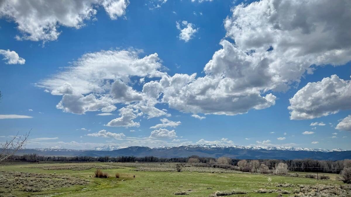 The possible site of a conservation sanctuary cemetery along Pinion Lane in Oakley.