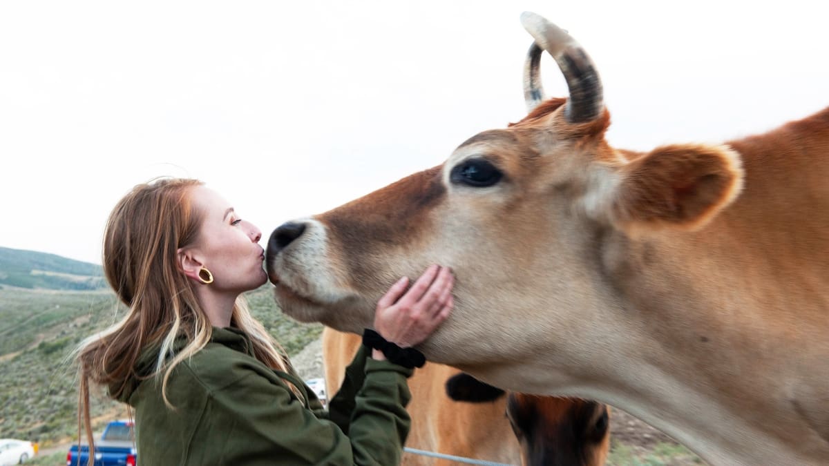 Sage Mountain Plant Based Palooza animal meet and greet.