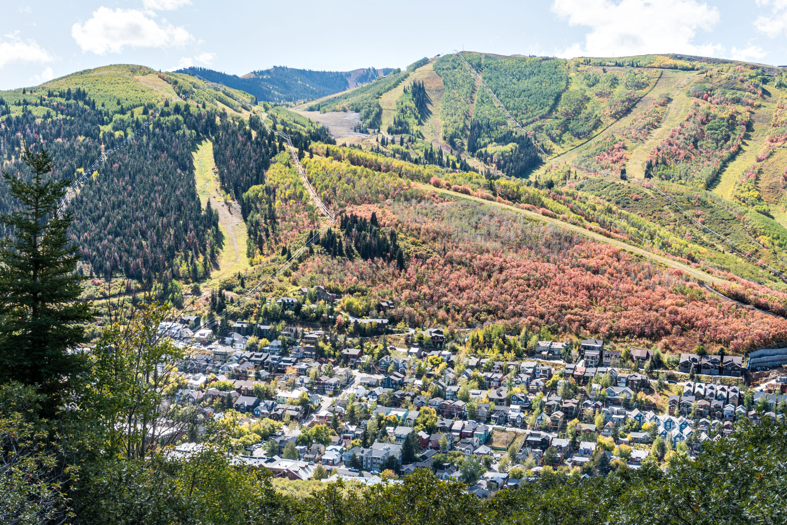 Aerial View of Old Town - Fall