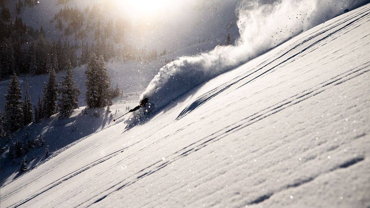 A skier rips through fresh powder at Alta. Resorts in the Wasatch could recieve above average snowfall this year, according to The Old Farmer's Almanac and NOAA trends.