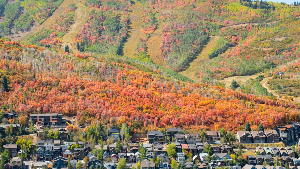 Fall foliage over town, Main Street Park City, PCMR.