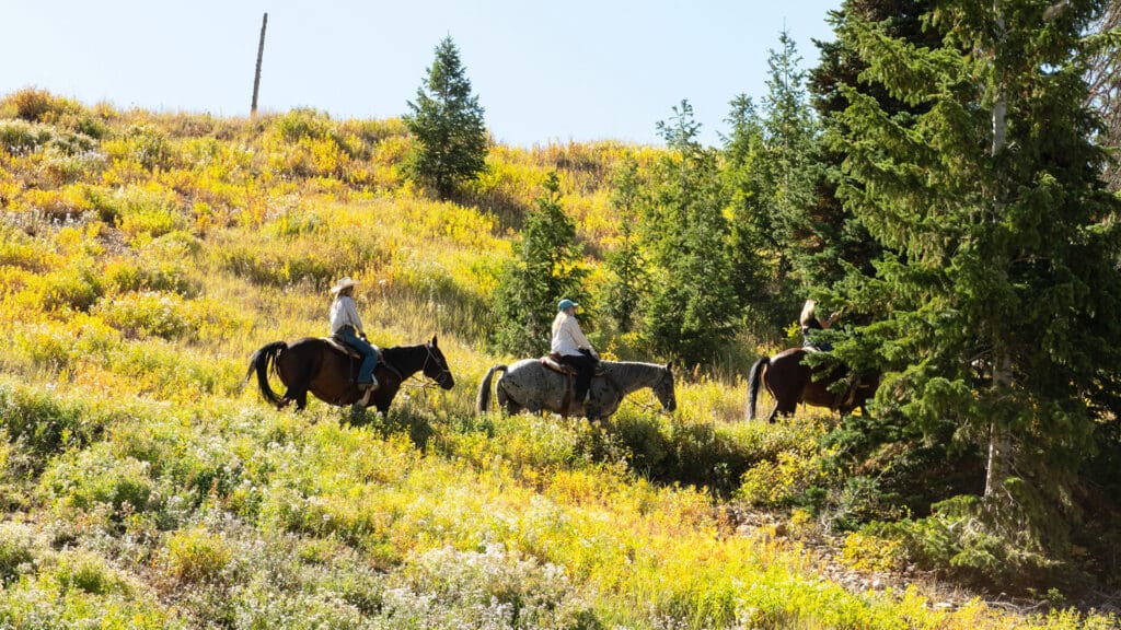 Horseback riding in Deer Valley, fall foliage.