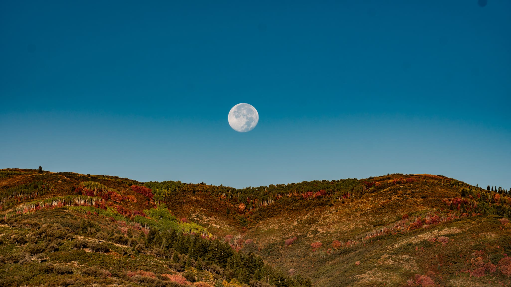 Harvest_moon_sets_over_Park_Ci