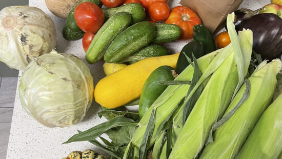 WasteLess Solutions rescues edible excess food from restaurants, grocery stores, caterers, farms and resorts, then shares it through free markets, partner organizations and community fridges in Summit County.