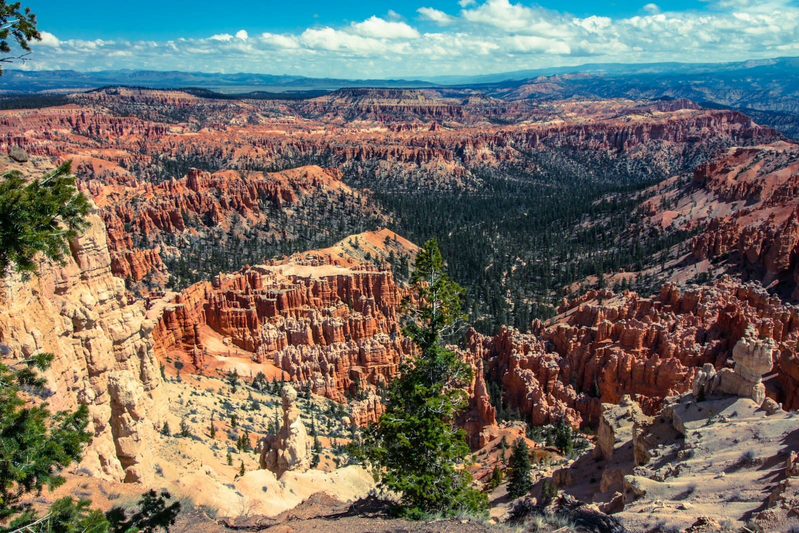 aerial photography of hoodoo rock formations at Bryce Canyon National Park