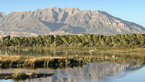 The Provo RIver Delta