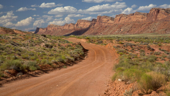 Bears Ears National Monument - Lower Comb Wash Road