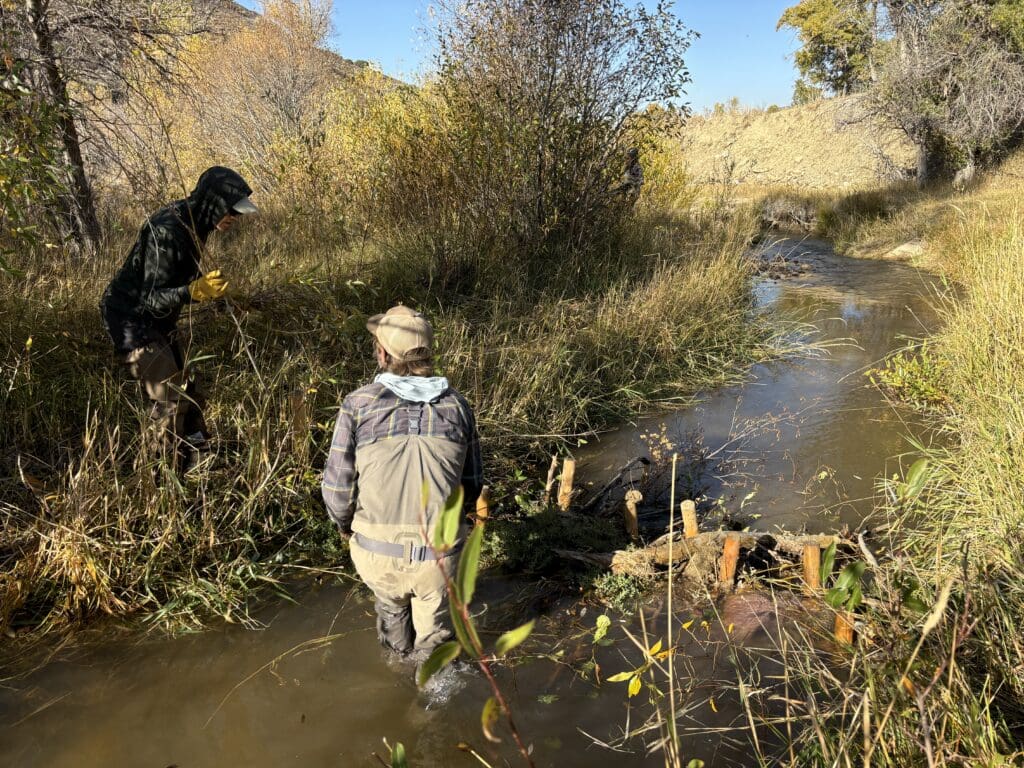 Building a Beaver Dam Analog