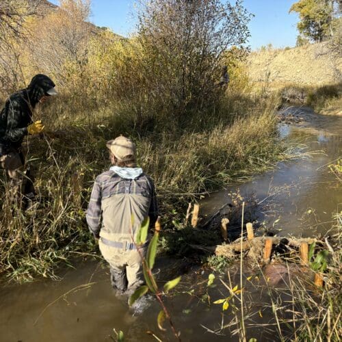 Building a Beaver Dam Analog